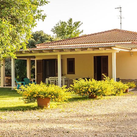 アルゲーロ The Vineyards Bed & Breakfast エクステリア 写真