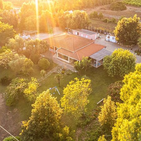 アルゲーロ The Vineyards Bed & Breakfast エクステリア 写真