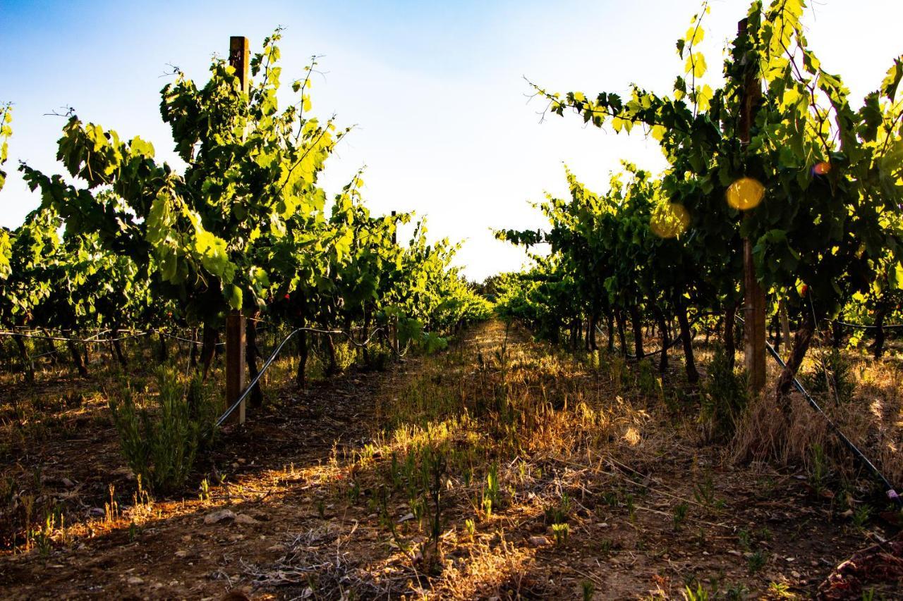 アルゲーロ The Vineyards Bed & Breakfast エクステリア 写真