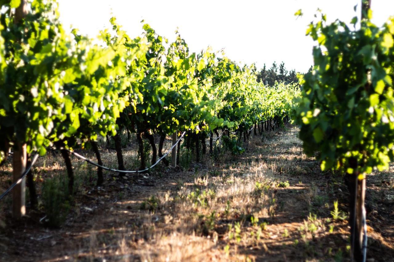 アルゲーロ The Vineyards Bed & Breakfast エクステリア 写真