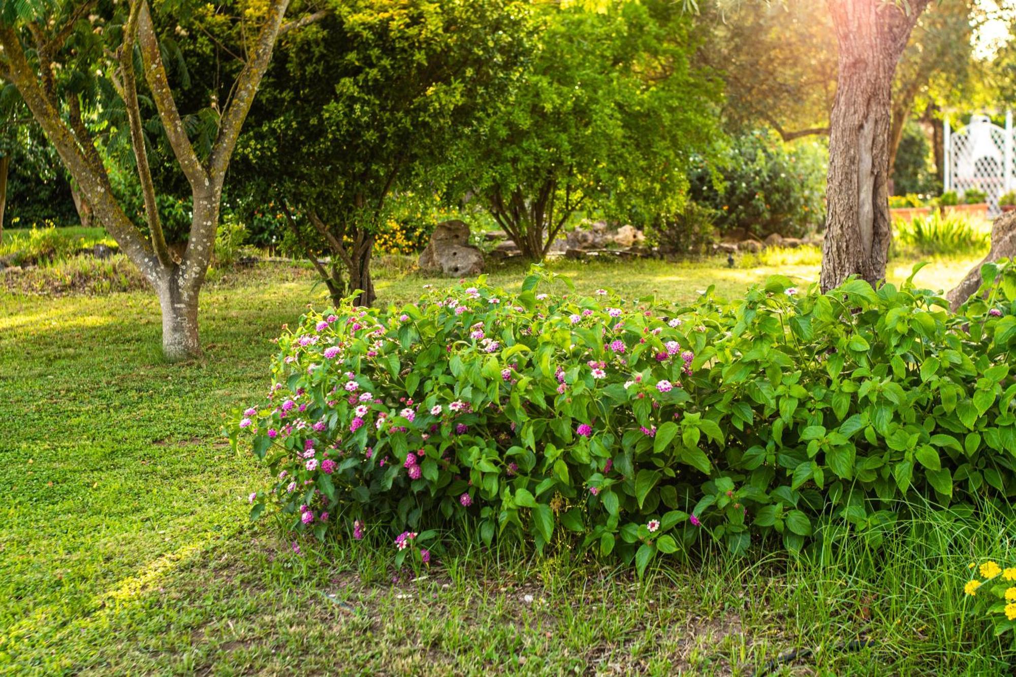 アルゲーロ The Vineyards Bed & Breakfast エクステリア 写真