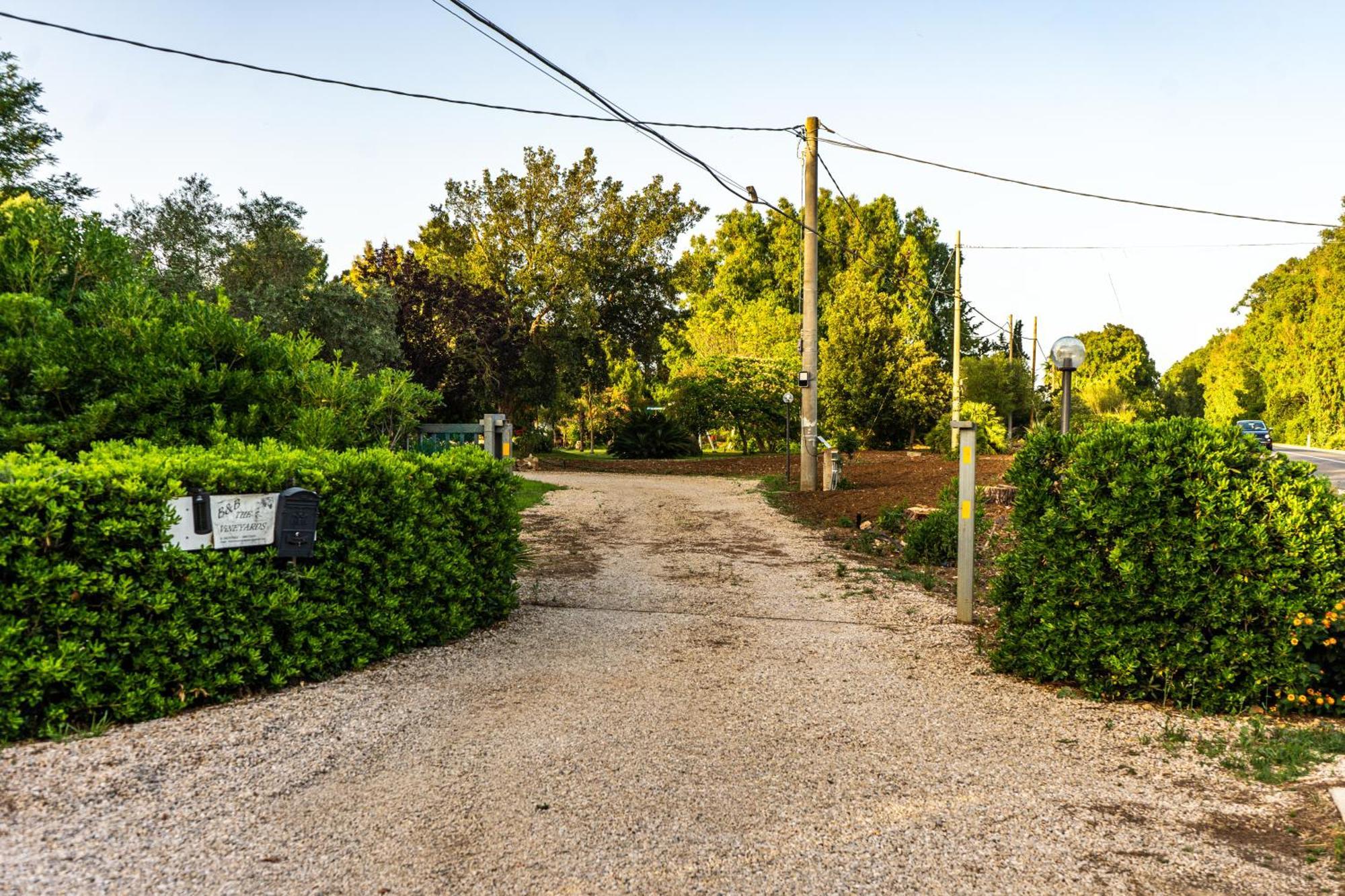 アルゲーロ The Vineyards Bed & Breakfast エクステリア 写真